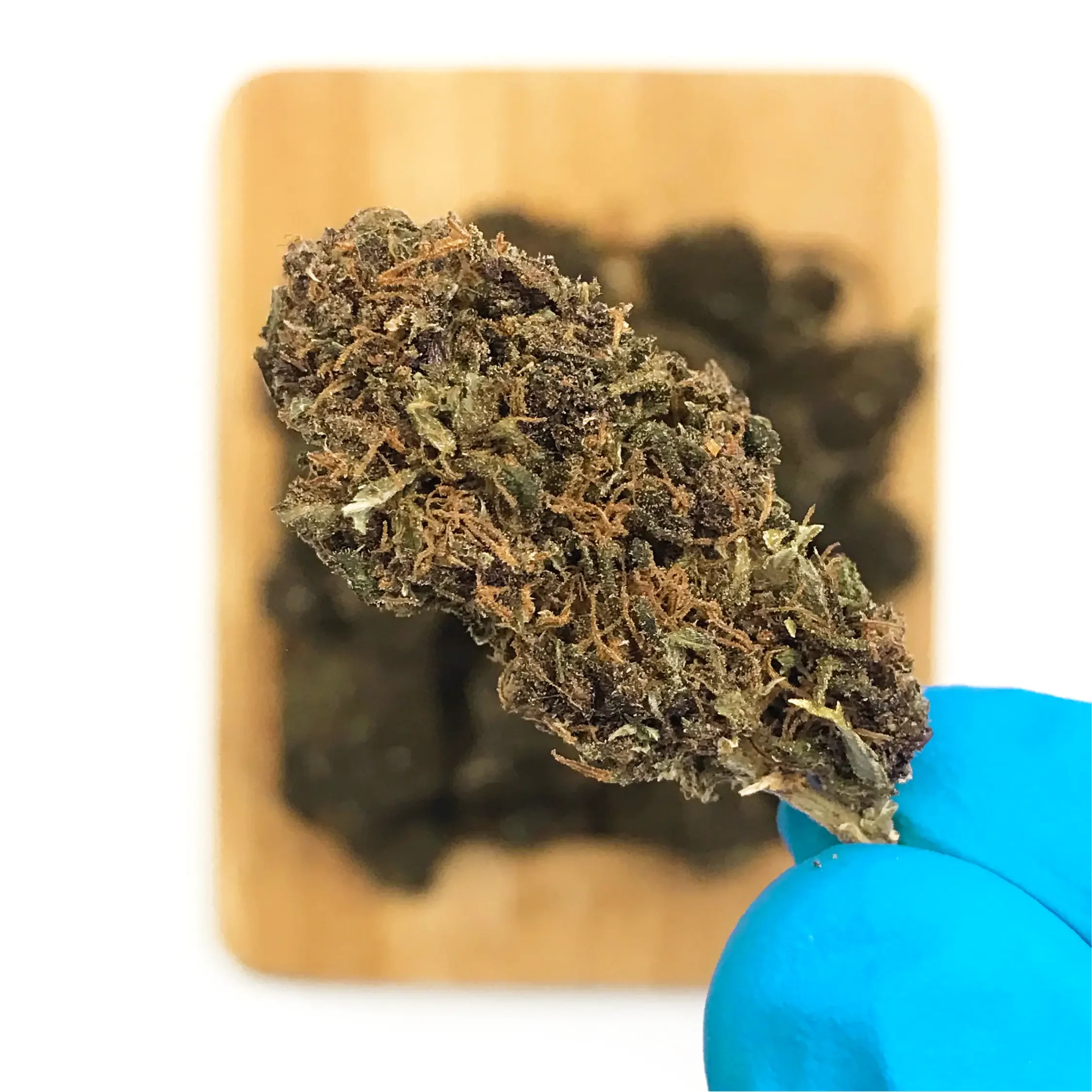 Fleurs_CBD_Shaolin_Gleaux_Highclouds_3.webp