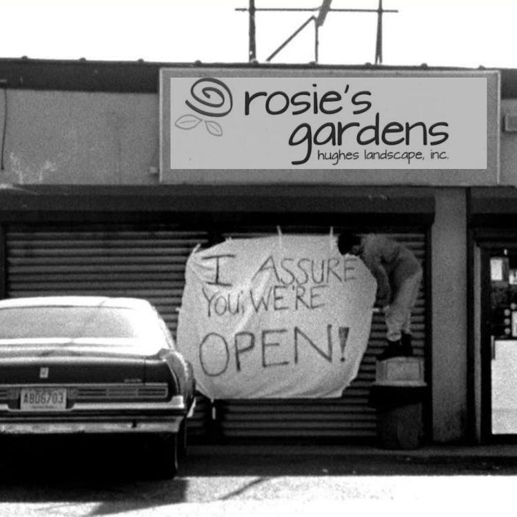 Rosie's Gardens & Hughes Landscape North Indianapolis Garden Center