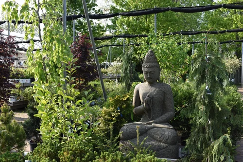 Rosie's Gardens, business photo 2
