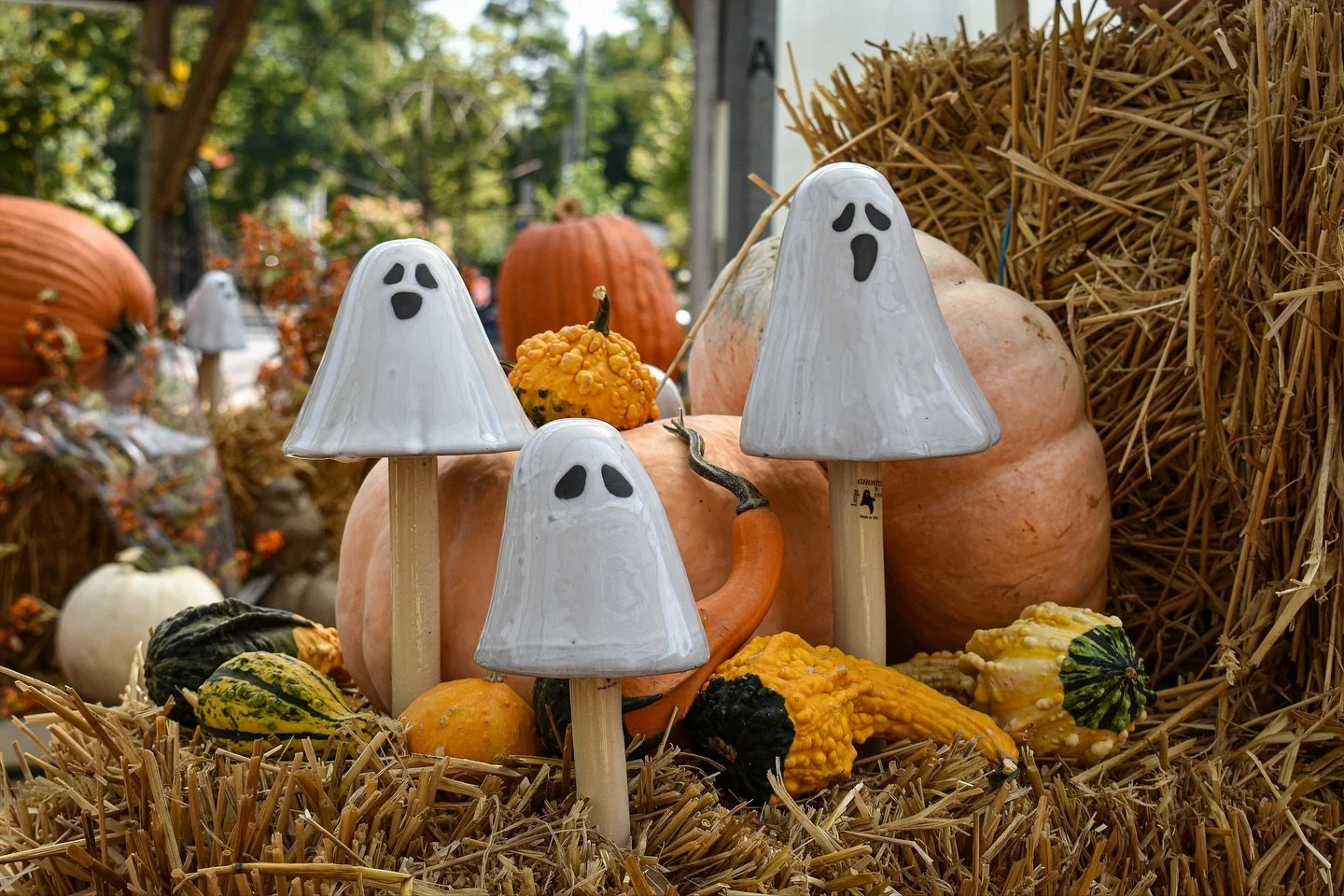 Ready to tap into your Halloween spirit? Start here, with the most boo-tiful garden decor&mdash;Ghostyz by JJ Potts ( @j.j.potts )! 👻 These ceramic cuties are perfect for your yard, porch pots, houseplants, and more, and are available in multiple si