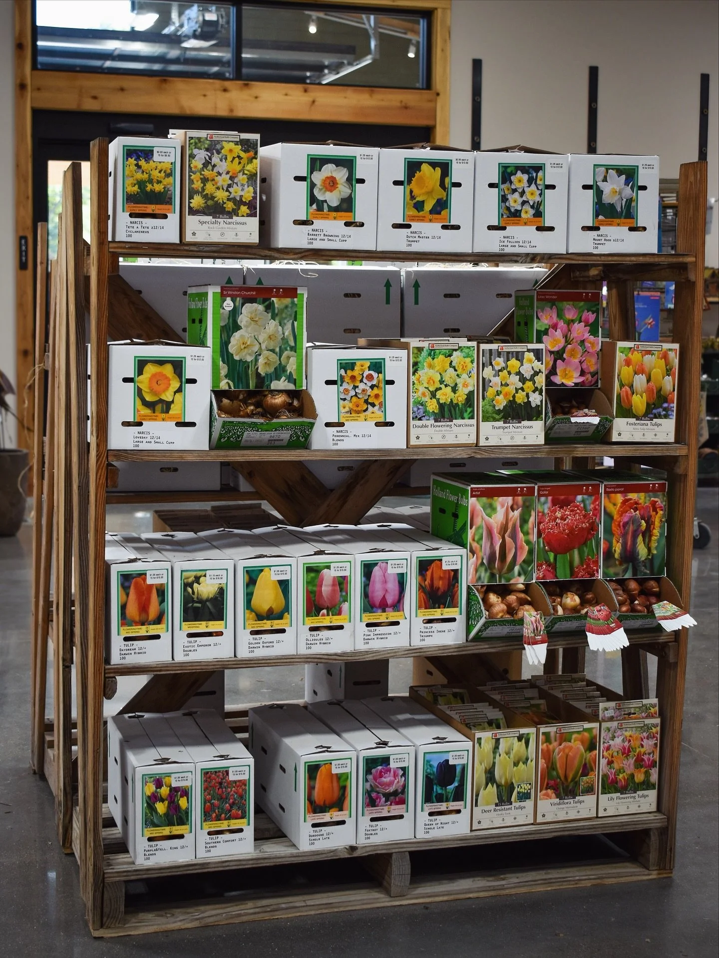 Want to plant a little happiness this fall? Think spring! 🌷 Our fall-planted bulbs are in! From terrific tulips to amazing alliums to classic crocuses and more, our extensive selection is guaranteed to meet your spring-blooming needs.
