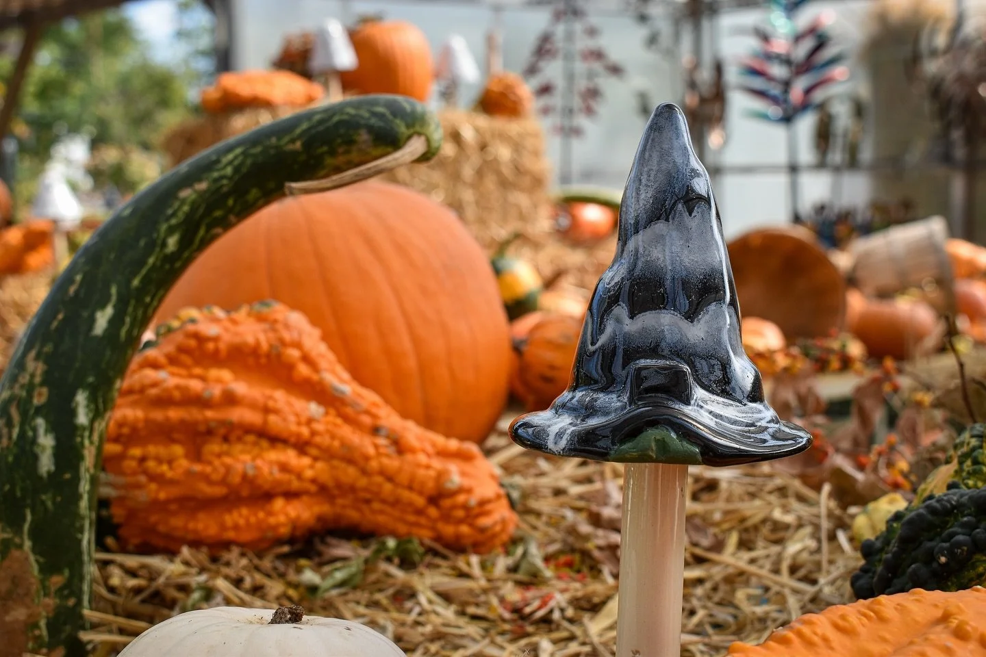 Happy Witchy Wednesday! 🧙&zwj;♀️ We&rsquo;re so hex-cited because the Witchyz by JJ Potts ( @j.j.potts ) have finally arrived! Ready to conjure up some fall fun? Expand your spooky garden display or houseplant decor collection with one of these ench