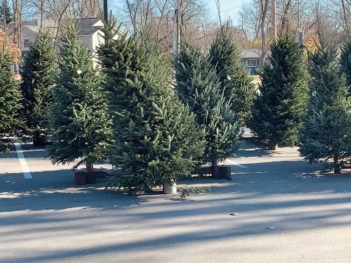 It&rsquo;s a beautiful day to find the perfect Christmas tree! 🌲 Stop by today and enjoy a toasty fire while you browse. We&rsquo;re open until 4PM on Sundays, and 5PM every other day!