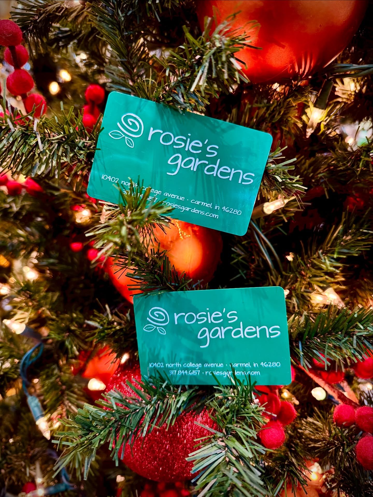 Give the gift of Rosie&rsquo;s this Christmas&mdash;and get a little something extra in return! 🎁

For every $100 gift card purchased in-store between now and Christmas Eve, receive a $10 bonus gift card! 🎄

Please note, this offer ONLY applies to 