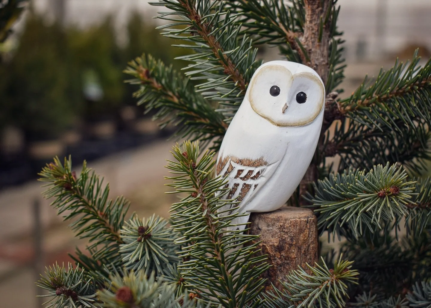 Oh, the 𝙛𝙚𝙖𝙩𝙝𝙚𝙧 outside is frightful, but these hand-carved wooden birds are so delightful! If you&rsquo;re having a hard time coming up with a great gift for the nature lover in your life, our eager employee Evie suggests one of our feathered
