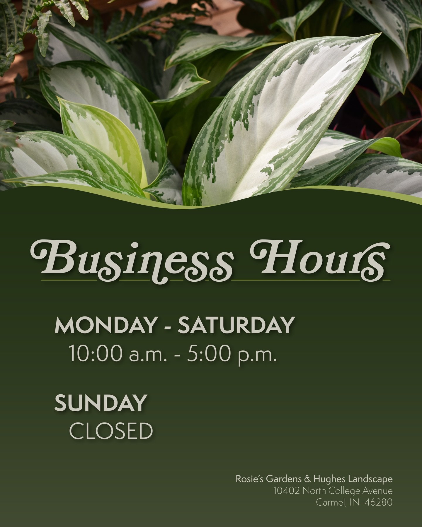 WE ARE BACK from our winter break! Are you ready for some humidity and lush greenery? Come check out our houseplant greenhouse, and treat yourself to a new indoor friend! Yearning for some visual intrigue? Come soak up the sights, textures, sounds, a