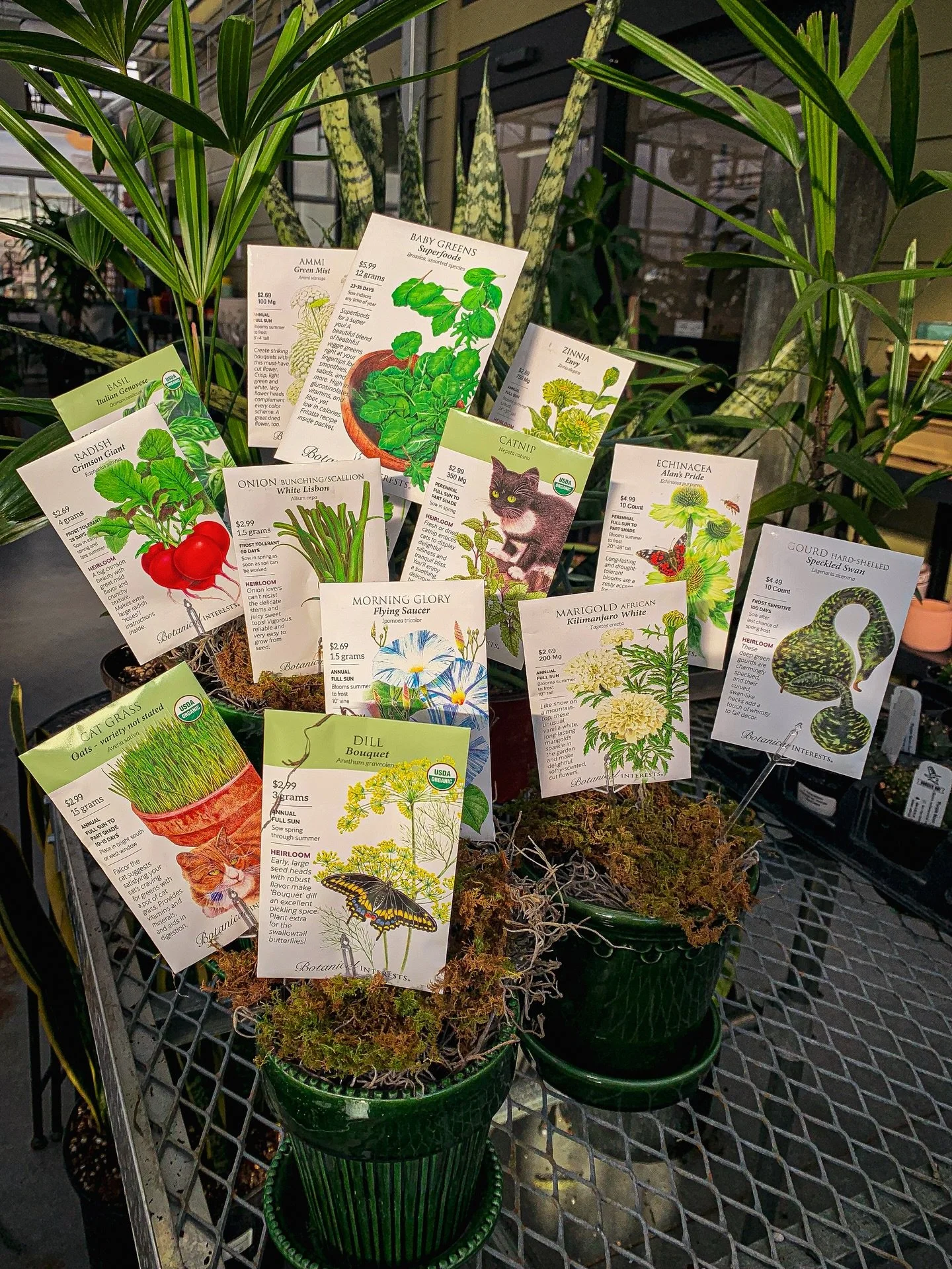 Did you know that today, the last Saturday in January, is National Seed Swap Day? It&rsquo;s the perfect day to give the gift of special seeds to a friend or loved one, and to start daydreaming about and planning for the spring! 🌱

Come celebrate Se