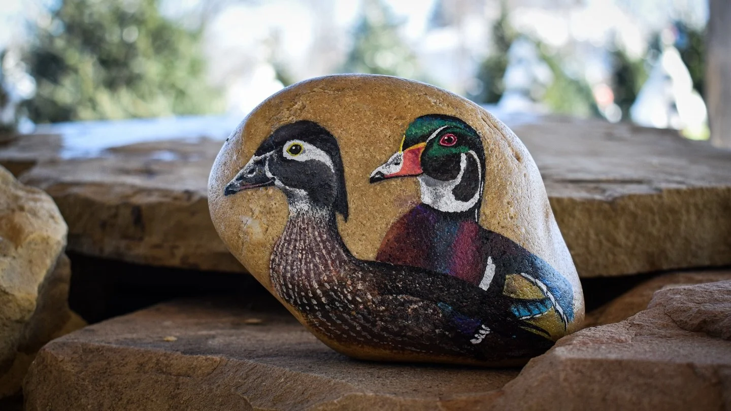 Local artist Iris Raquet ( @the_painted_perch ) is a &ldquo;devoted admirer of wild birds.&rdquo; A lifelong creator, Raquet began her &ldquo;artistic journey as a child in her home country of Germany, first working in charcoal and developing a stron