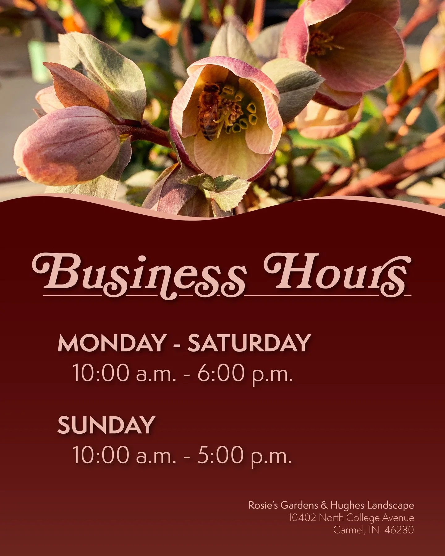 Spring is on the horizon, and we&rsquo;re ready to meet your seasonal needs with our updated business hours! Stop by and peruse our ever-growing selection of annuals, perennials, trees, and shrubs, or soak up some warmth and sunshine from the cozy co