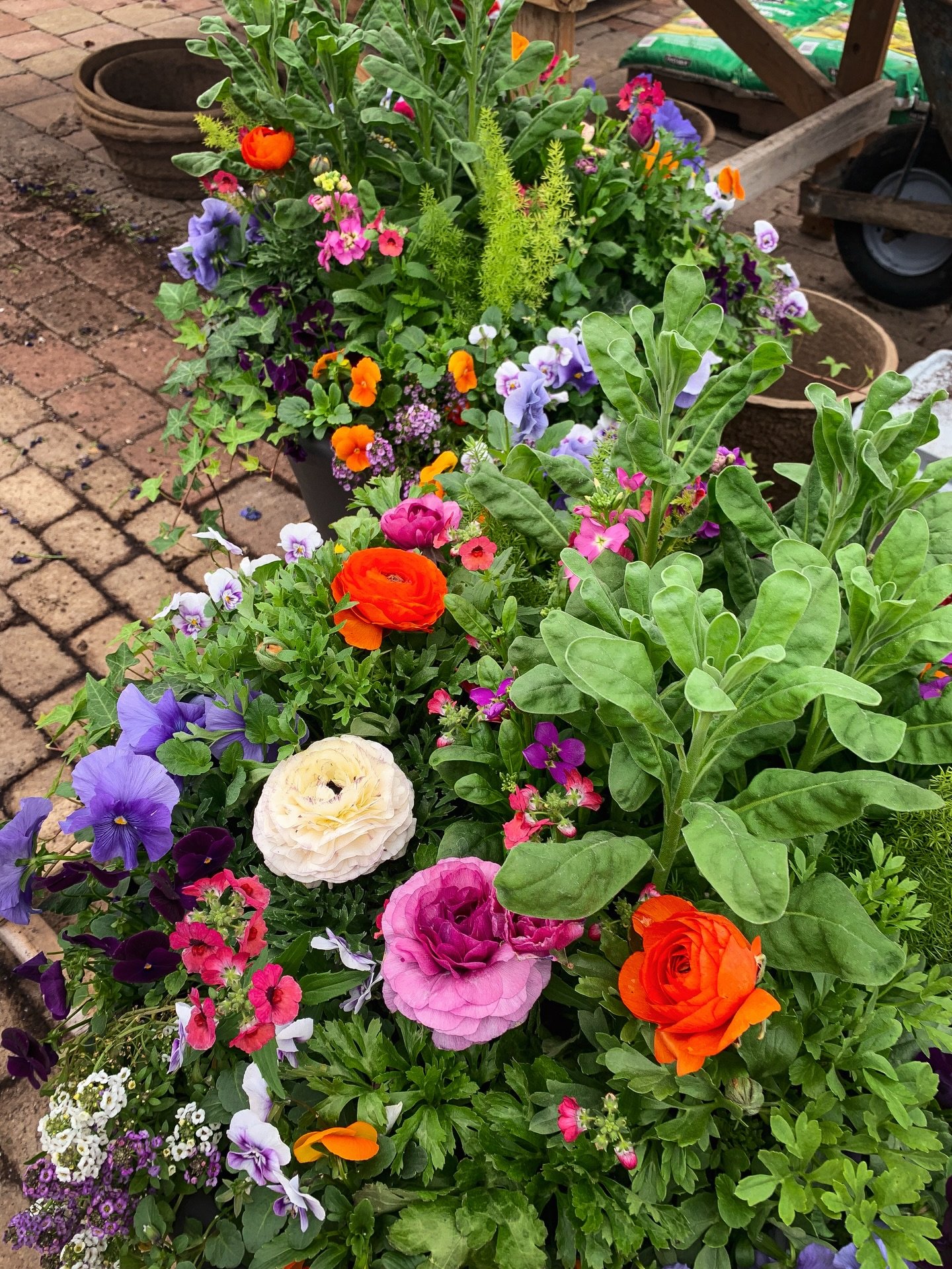 Happy Spring!!! 🌷 Did you know that the spring equinox occurs today, March 20th, at 10:46 A.M.? What a wonderful Friday to celebrate the astronomical beginning of many gardeners&rsquo; favorite season! 🌞

Come enjoy this warm day on our property an