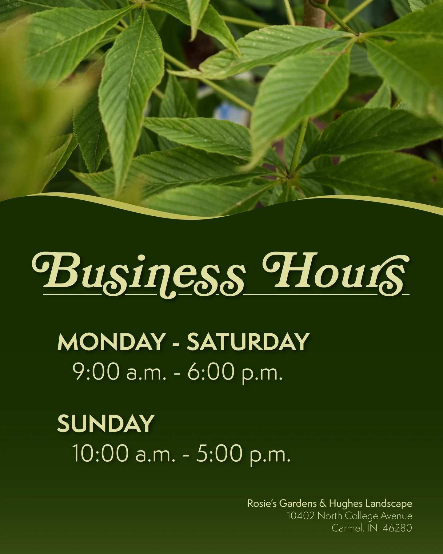 It&rsquo;s official: we&rsquo;re back to our full, regular business hours!

Next time you need annuals, perennials, trees, shrubs, houseplants, pottery, statuary, bird baths, fountains, yard decor, mulch, stone, soil, sand, straw, gardening tools, gi