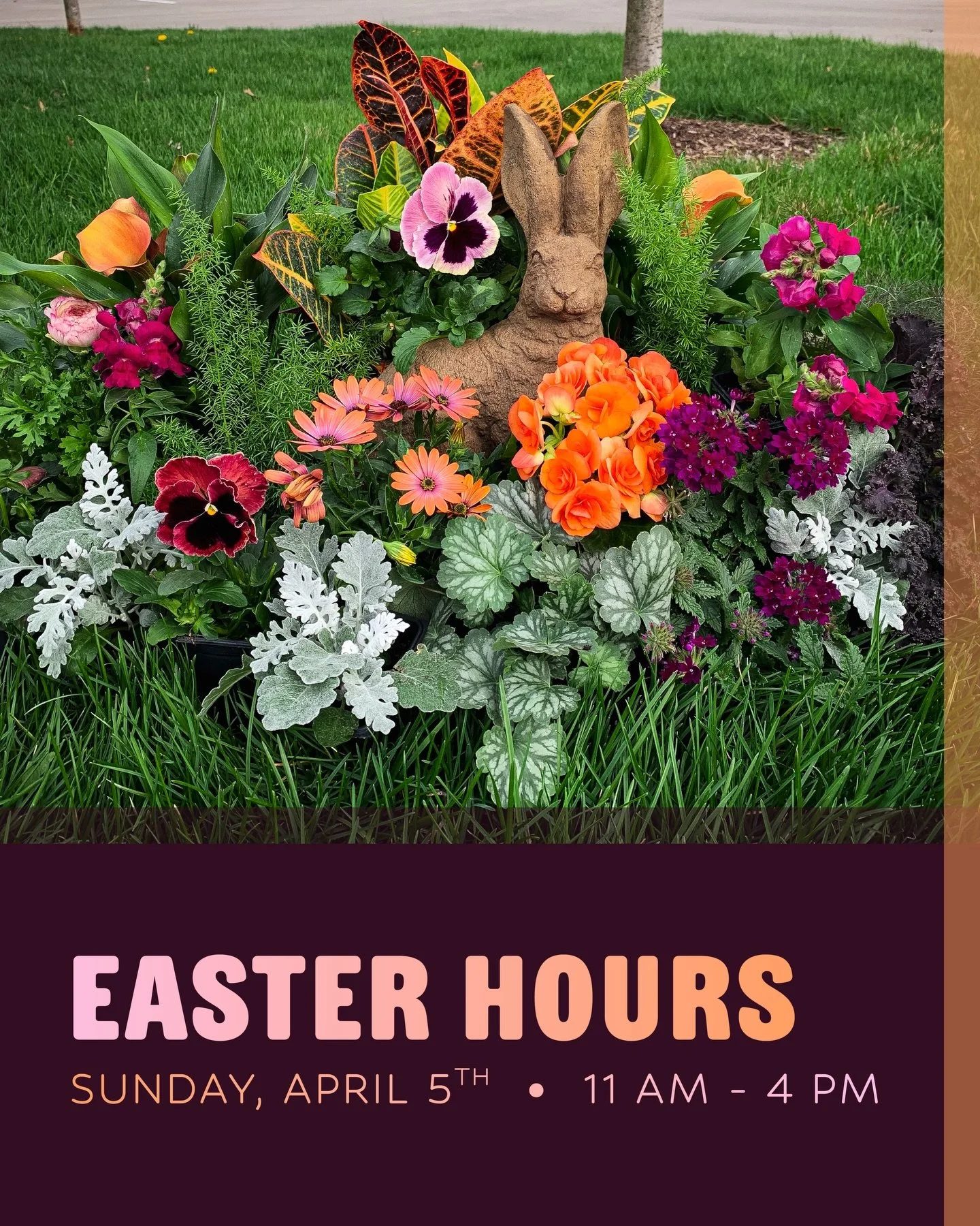 We are OPEN on Easter Sunday with modified hours (11:00 a.m. - 4:00 p.m.), and we hope you&rsquo;ll hop by to smell the flowers! 🥕🐇🌺