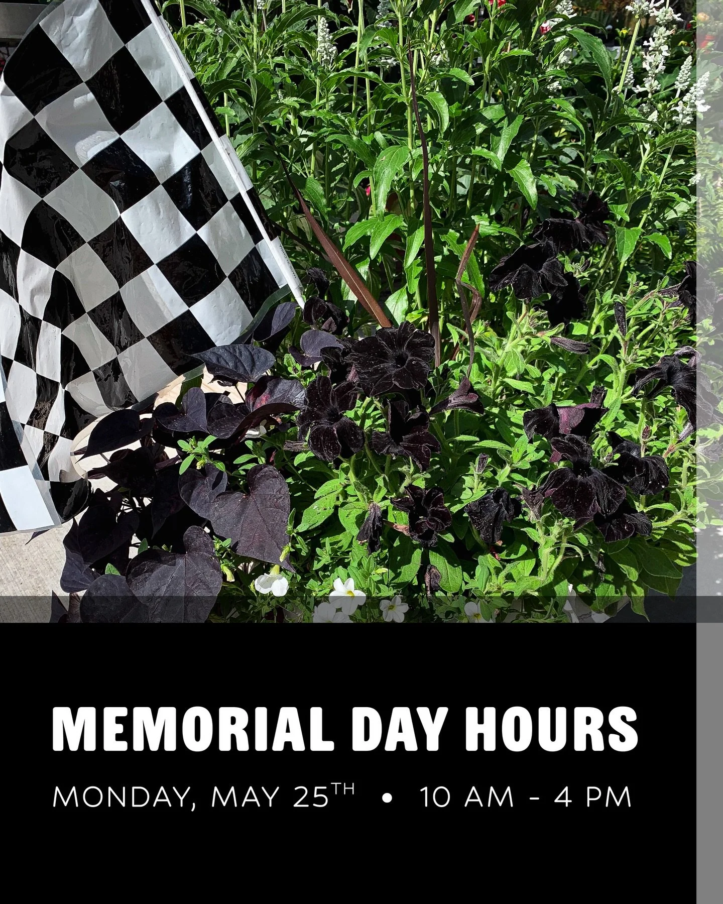 We are OPEN on Memorial Day with modified hours (10:00 a.m. - 4:00 p.m.), and have regular hours during the weekend for all of you who&rsquo;d like to visit!