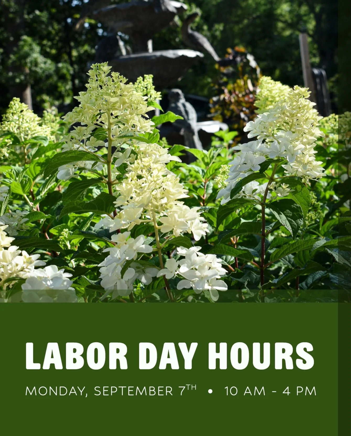 We are OPEN on Labor Day with modified hours (10:00 a.m. - 4:00 p.m.)! ✨ We hope you&rsquo;ll stop by over the long weekend to take advantage of the last few days of our Rooted in Summer Sale, and to continue celebrating the reopening of College Aven