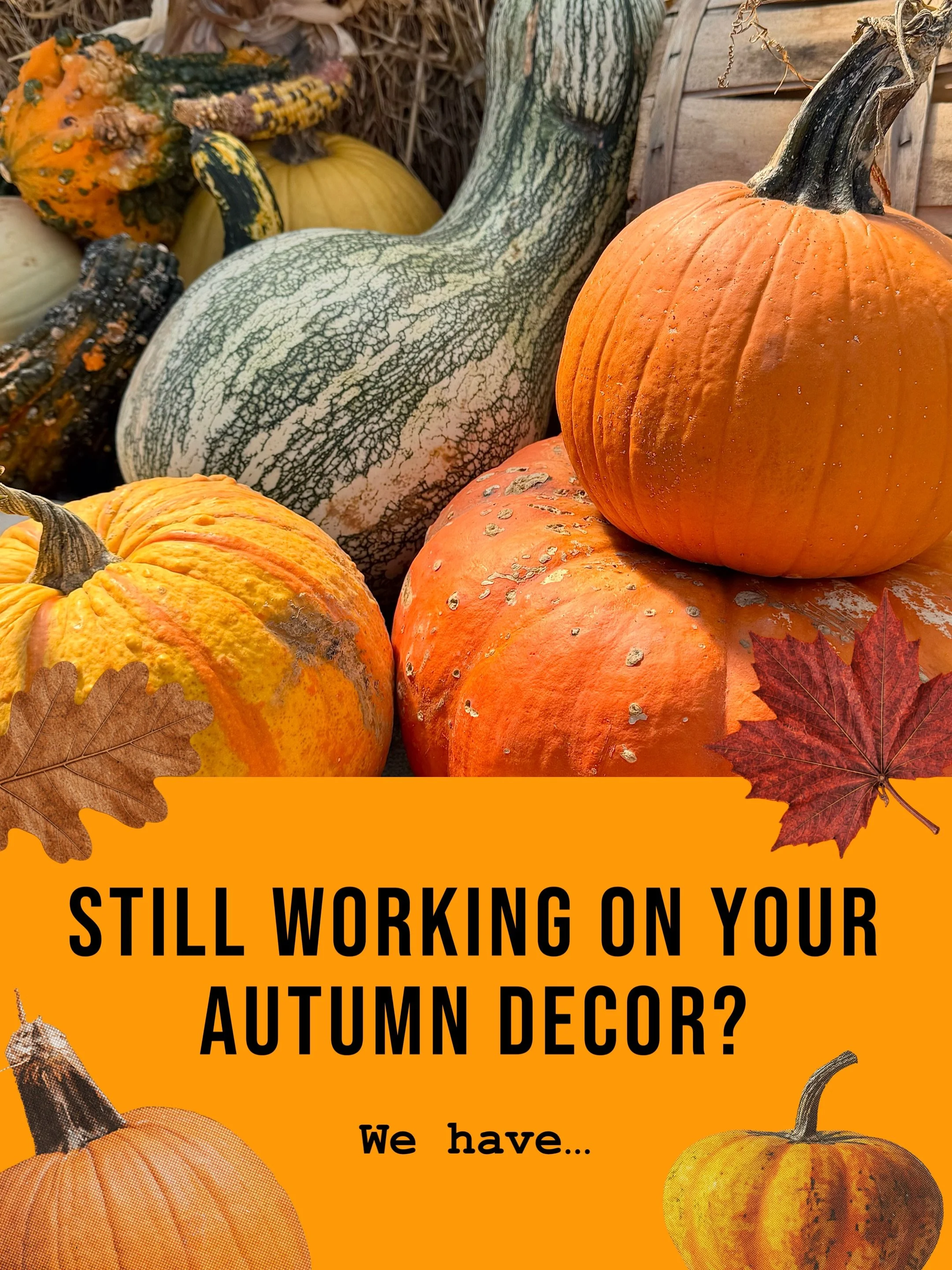 We&rsquo;ve got all you need (and more) to finalize your perfect autumn look. 🍁 Come enjoy this crisp fall weather with us and have a little peek! See you soon!