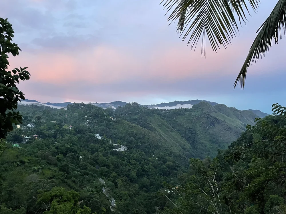 Ella - View from Airbnb.jpeg
