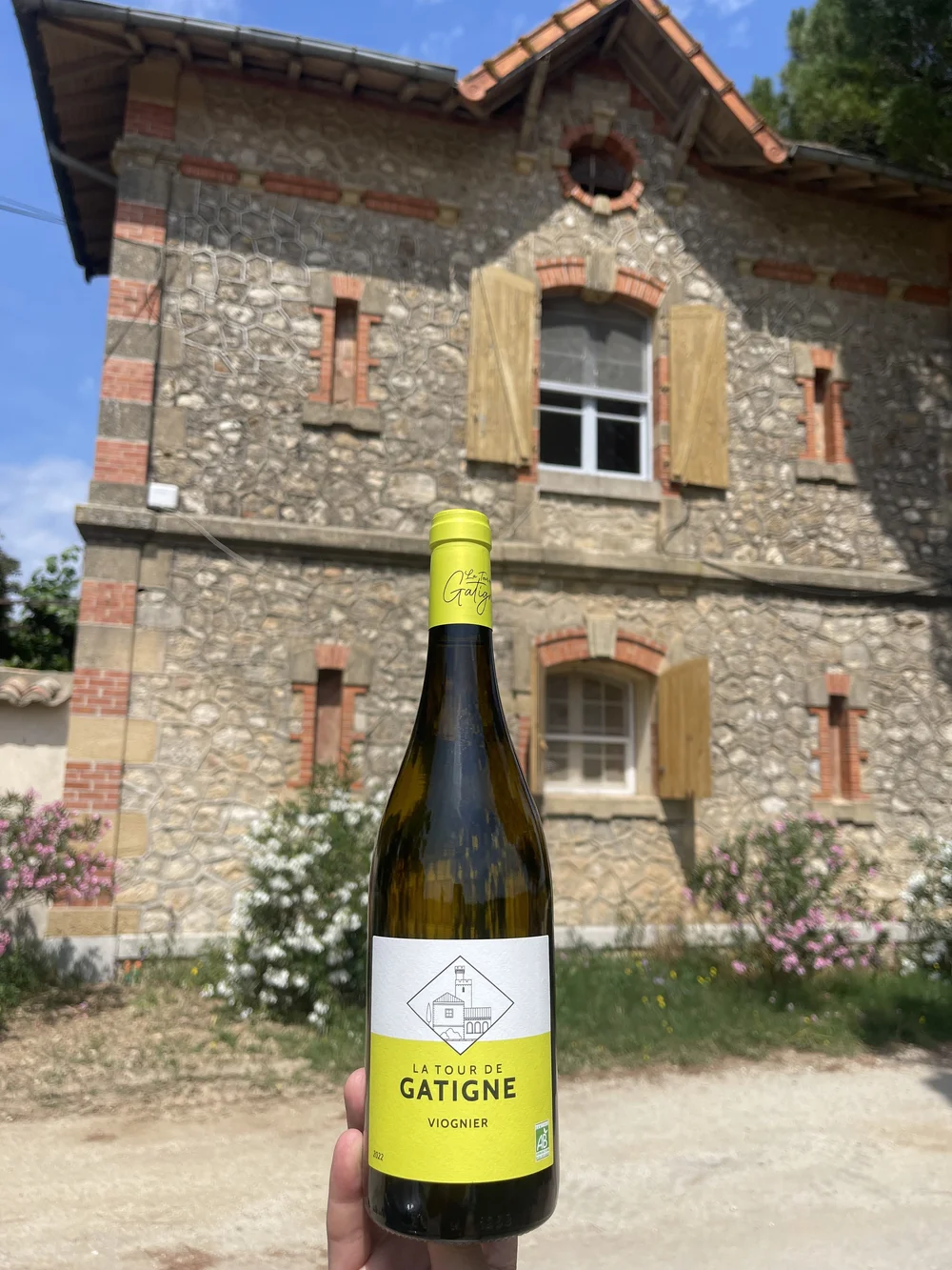 Viognier stop.jpeg