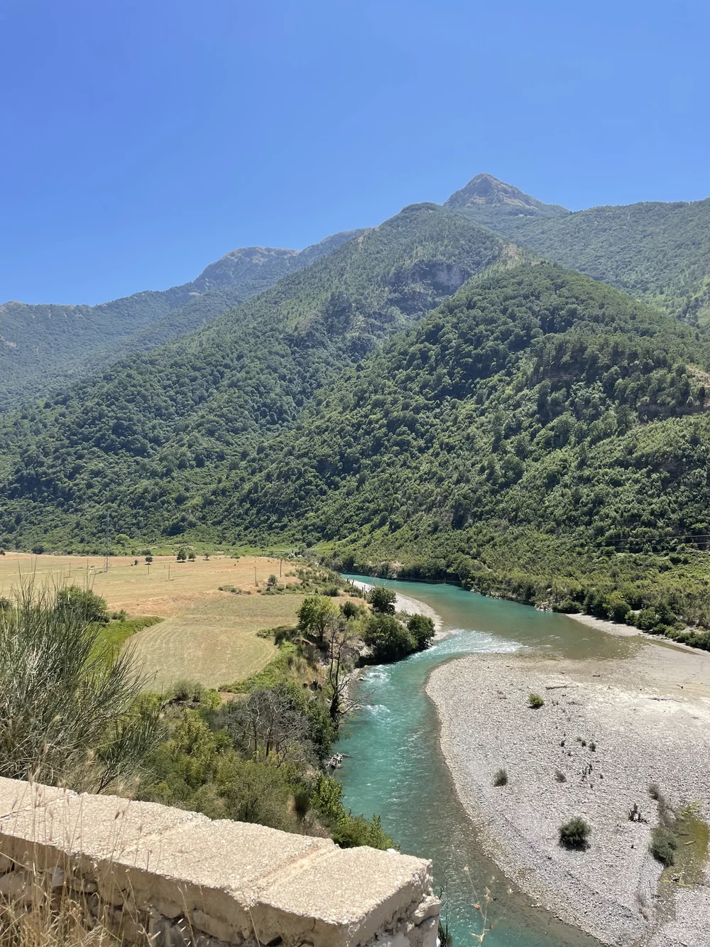 Vjosa river.jpeg