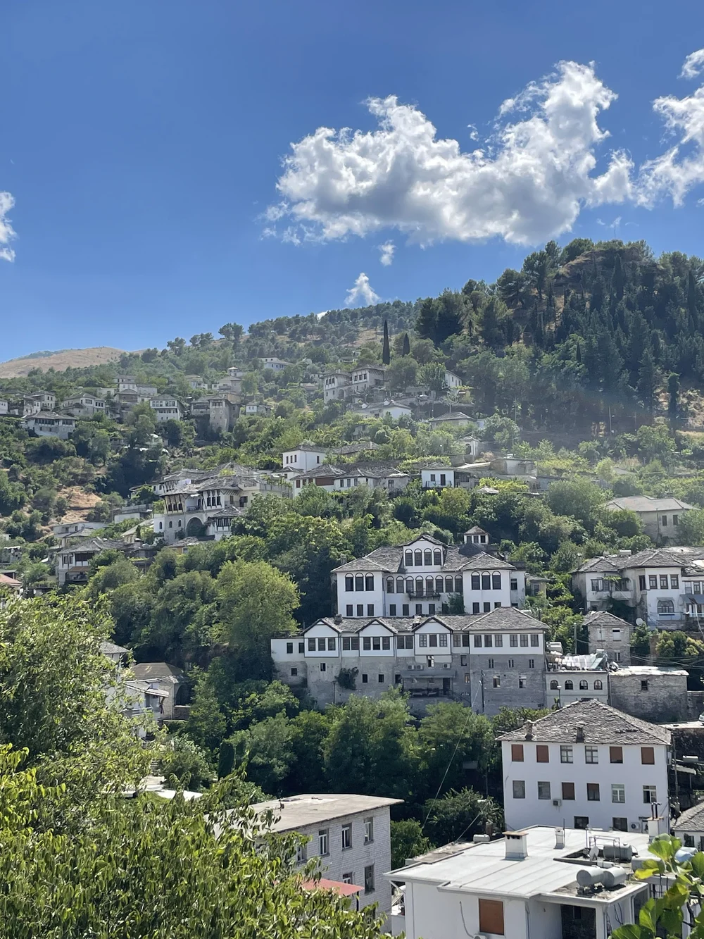 Gjirokaster houses on the hill.jpeg