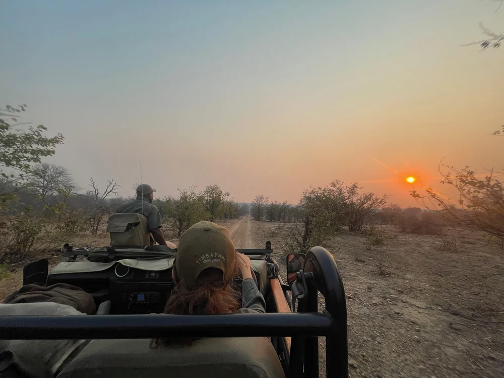 Game drive sunset.jpeg