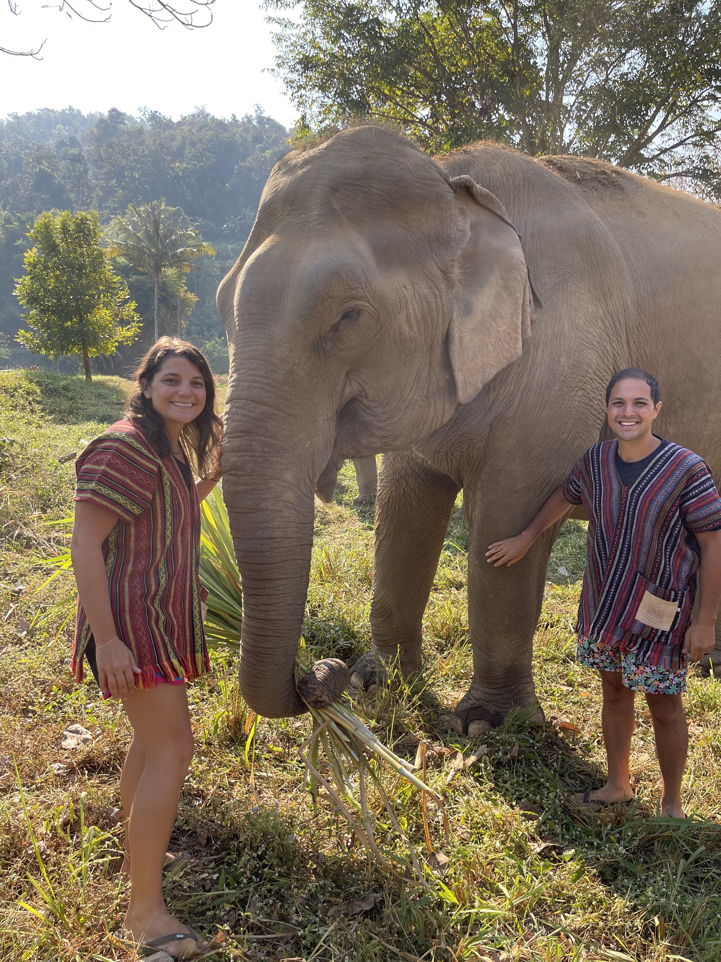 Elephany Jungle Sanctuary.jpg