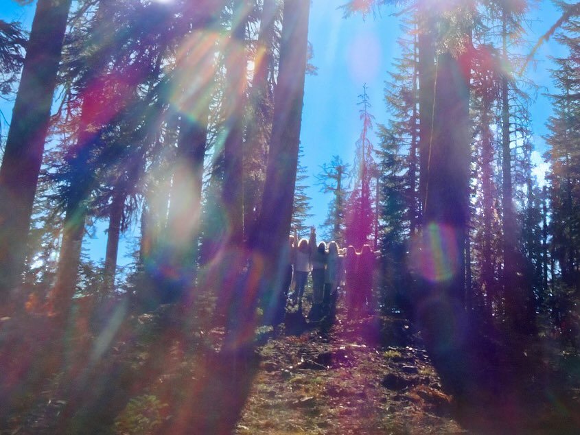 ✨mother shasta✨
a sacred land where it is said to walk with the ascended masters, angelics, galactic, fairies, nomes, elementals, and dragons and more&hellip;. 

the human eye is but capable of seeing a small fraction of what really exists amongst us