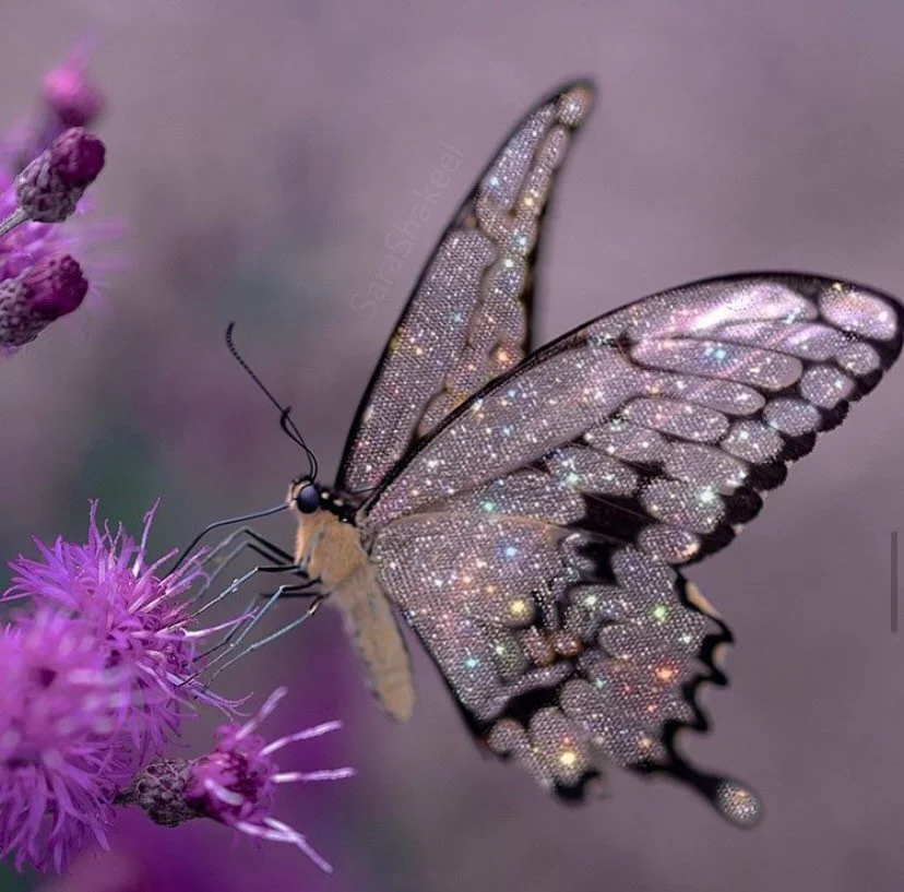 be the sacred imprint.

allow the shedding of the chrysalis
to bring forth metamorphosis.

you are the cosmic blueprint.

art @sarashakeel
