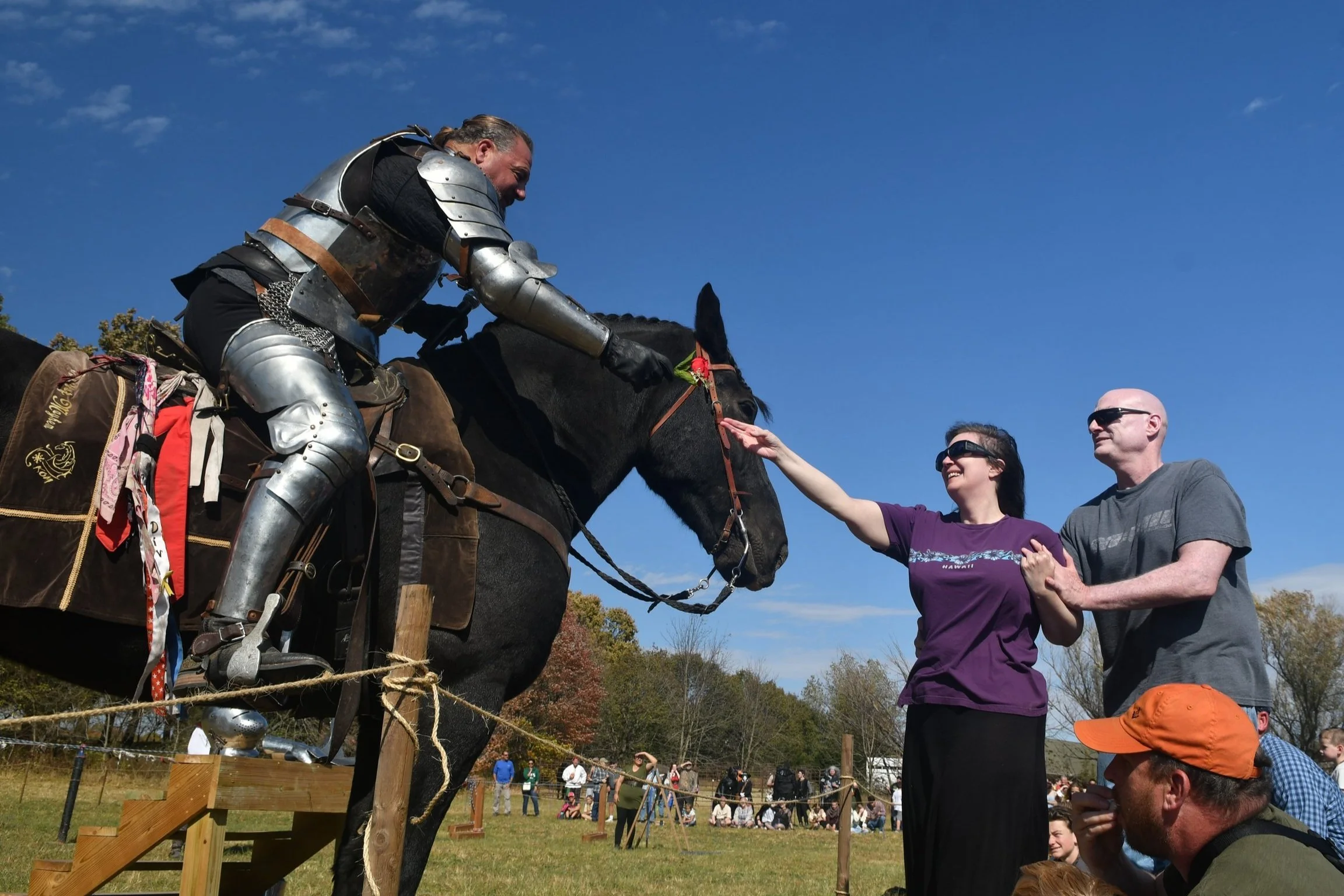 Jousted About — Knights of Mayhem