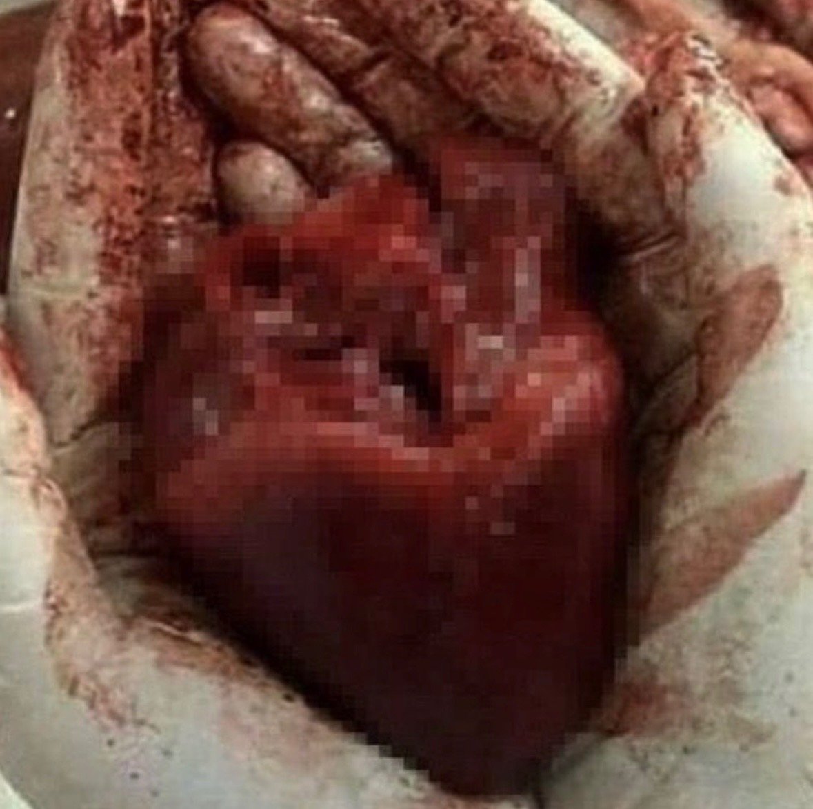 A pair of hands covered in dirt holding a small, freshly born baby