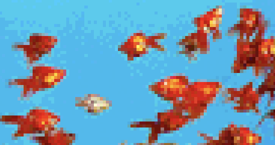 A group of pixelated red and orange fish swimming in blue water.