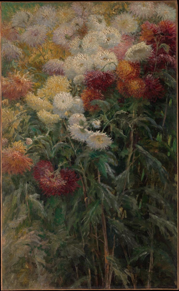 Gustave Caillebotte, Chrysanthemums in the Garden at Petit-Gennevilliers, 1893