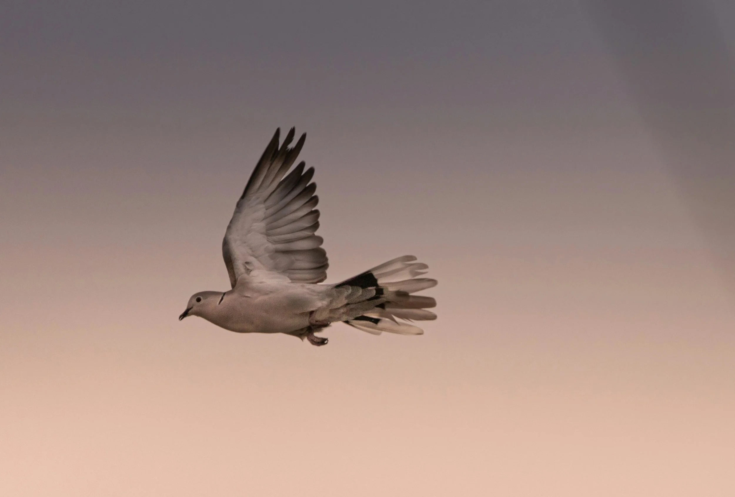 Who Is the Holy Spirit? - Dave Slabach