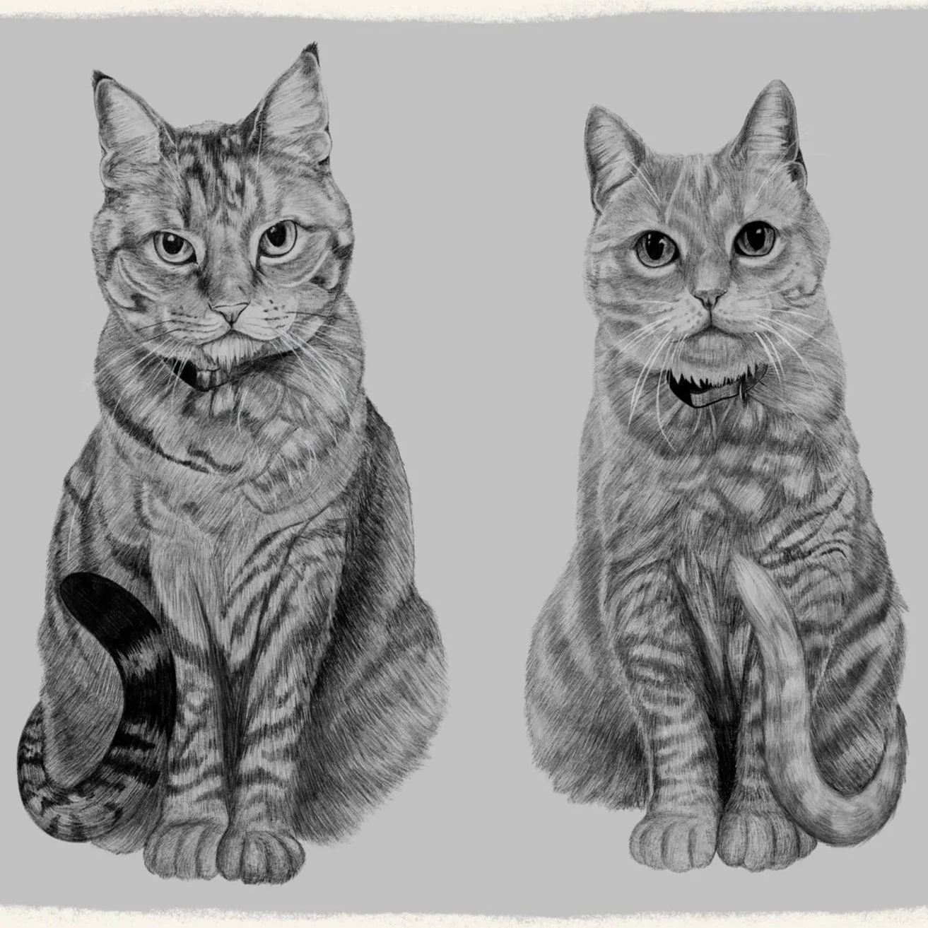Promotional design featuring sketches of realistic animals, including a deer, fox, axolotl, bird, and tiger, with pencils and a tablet. Text reads "Private 1:1 Draw & Sketch Realistic Animals” with "Draw Along With Me" card at the bottom.