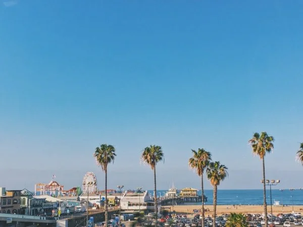 vsco_032616.jpg