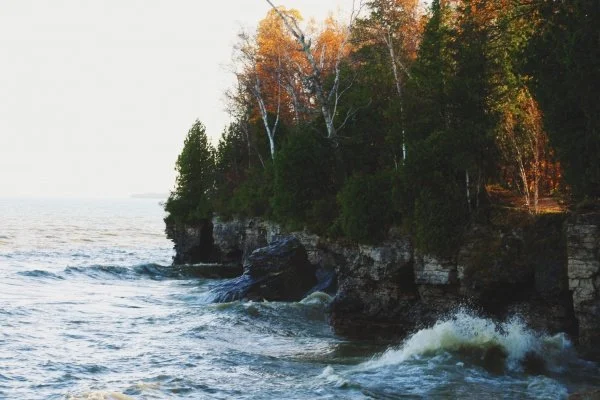 vsco_110316.jpg