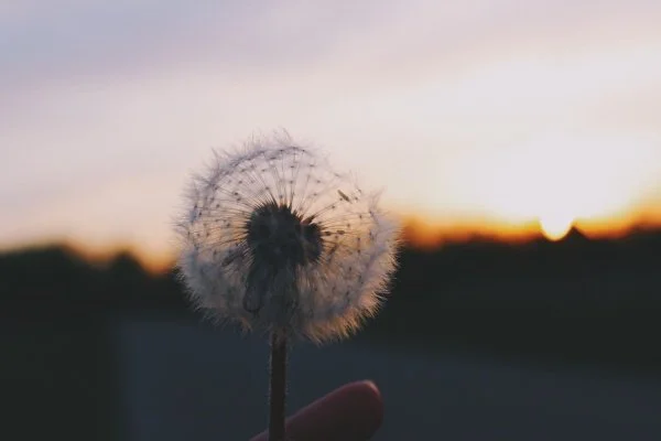vsco_052116-1.jpg