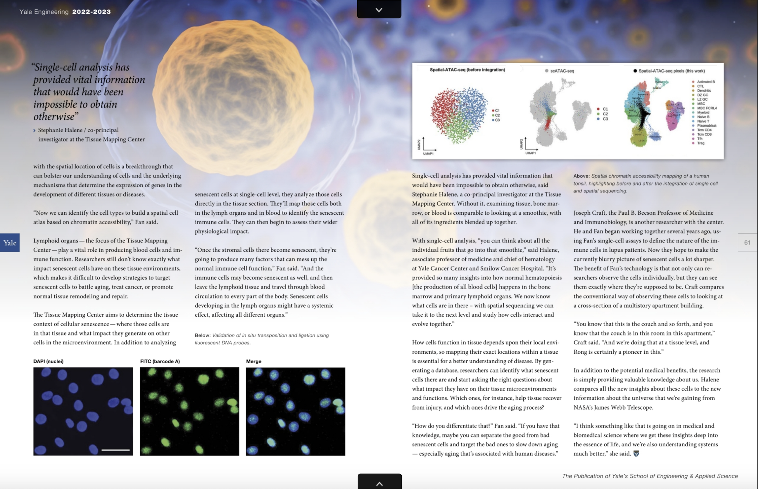 Yale Engineering_3.png