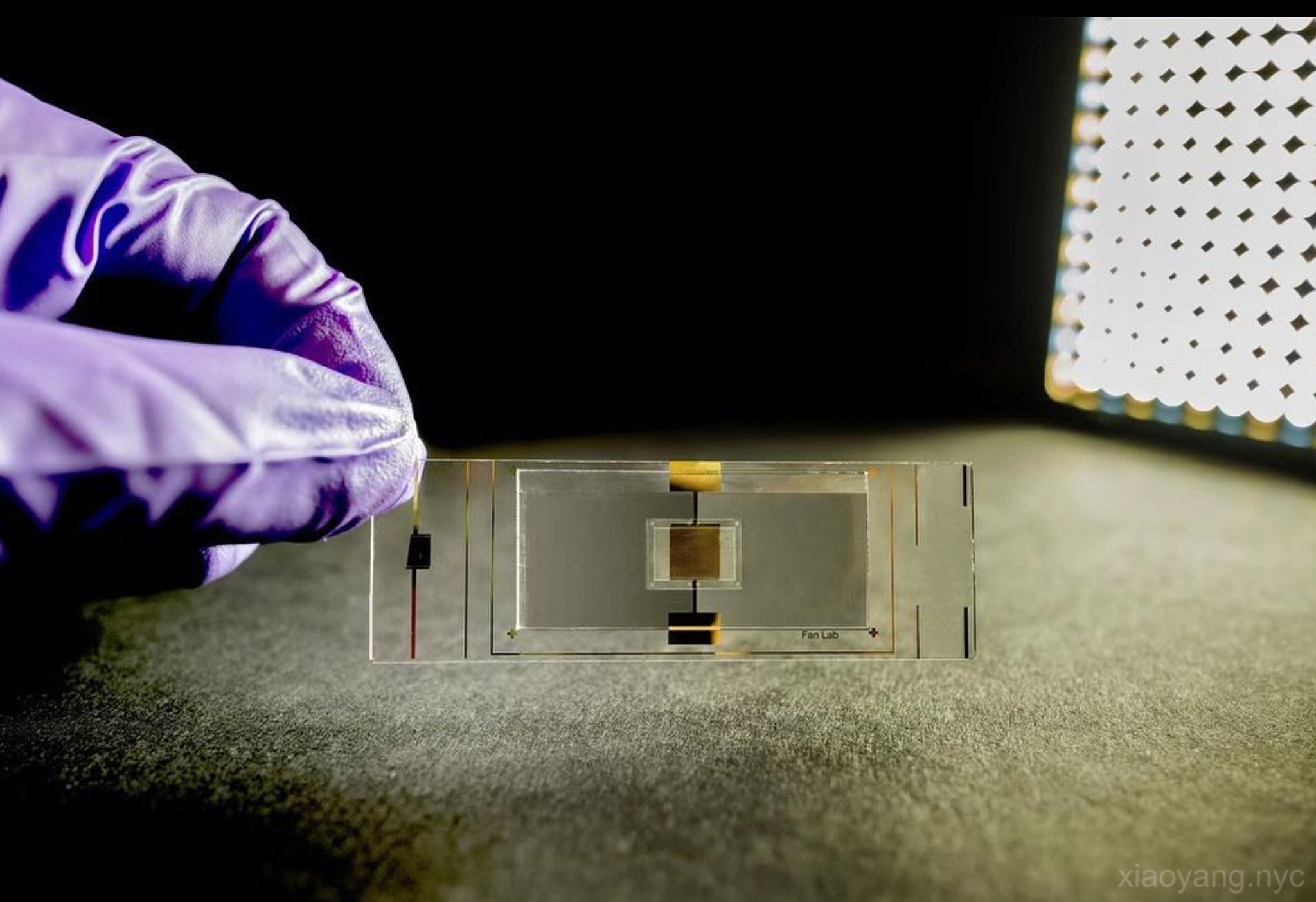 Single Cell Trapping Chip. New Haven, 2020.
