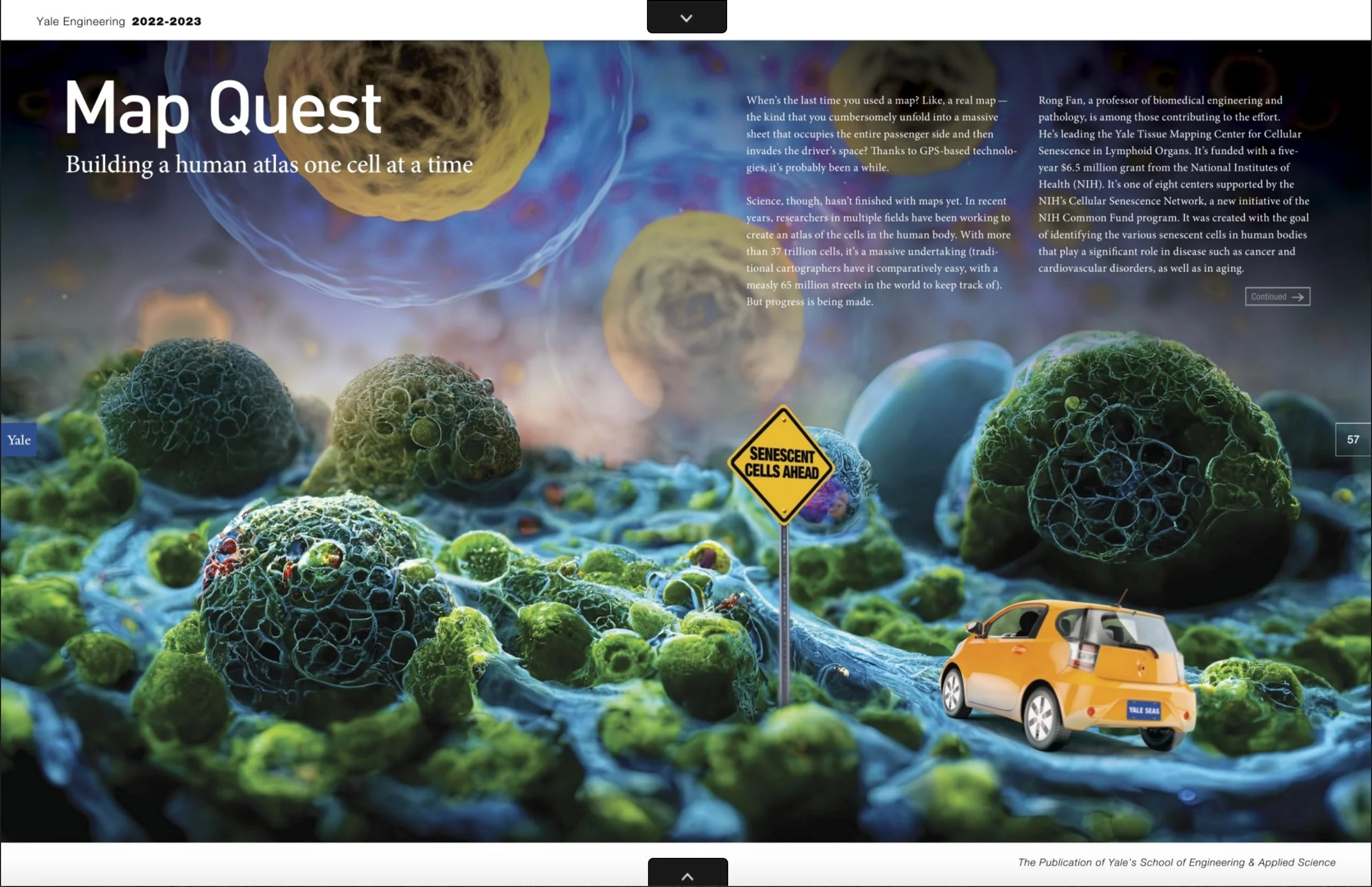 Yale Engineering_1.jpg