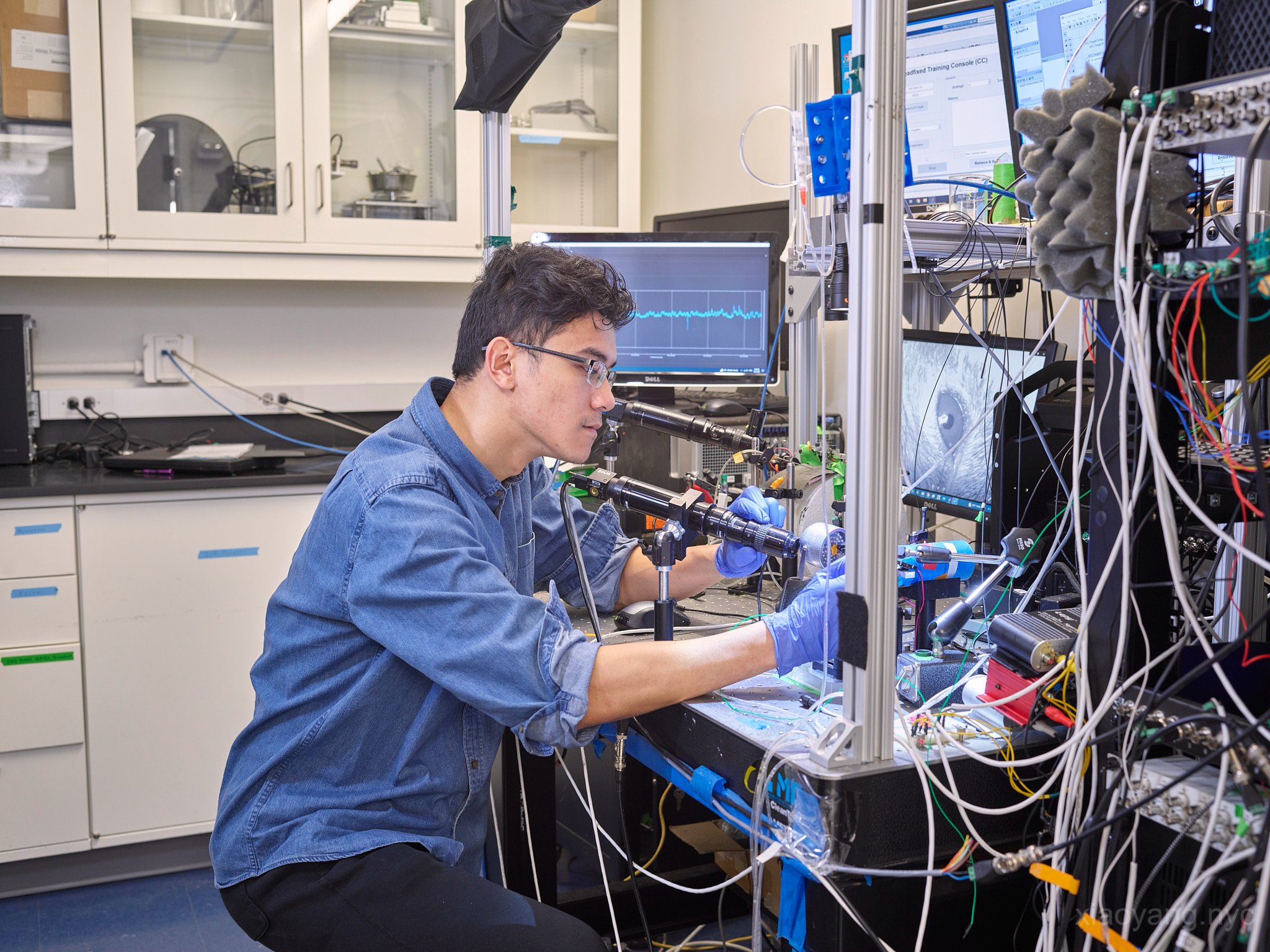 Neuromodulation Test. NYC, 2022.
