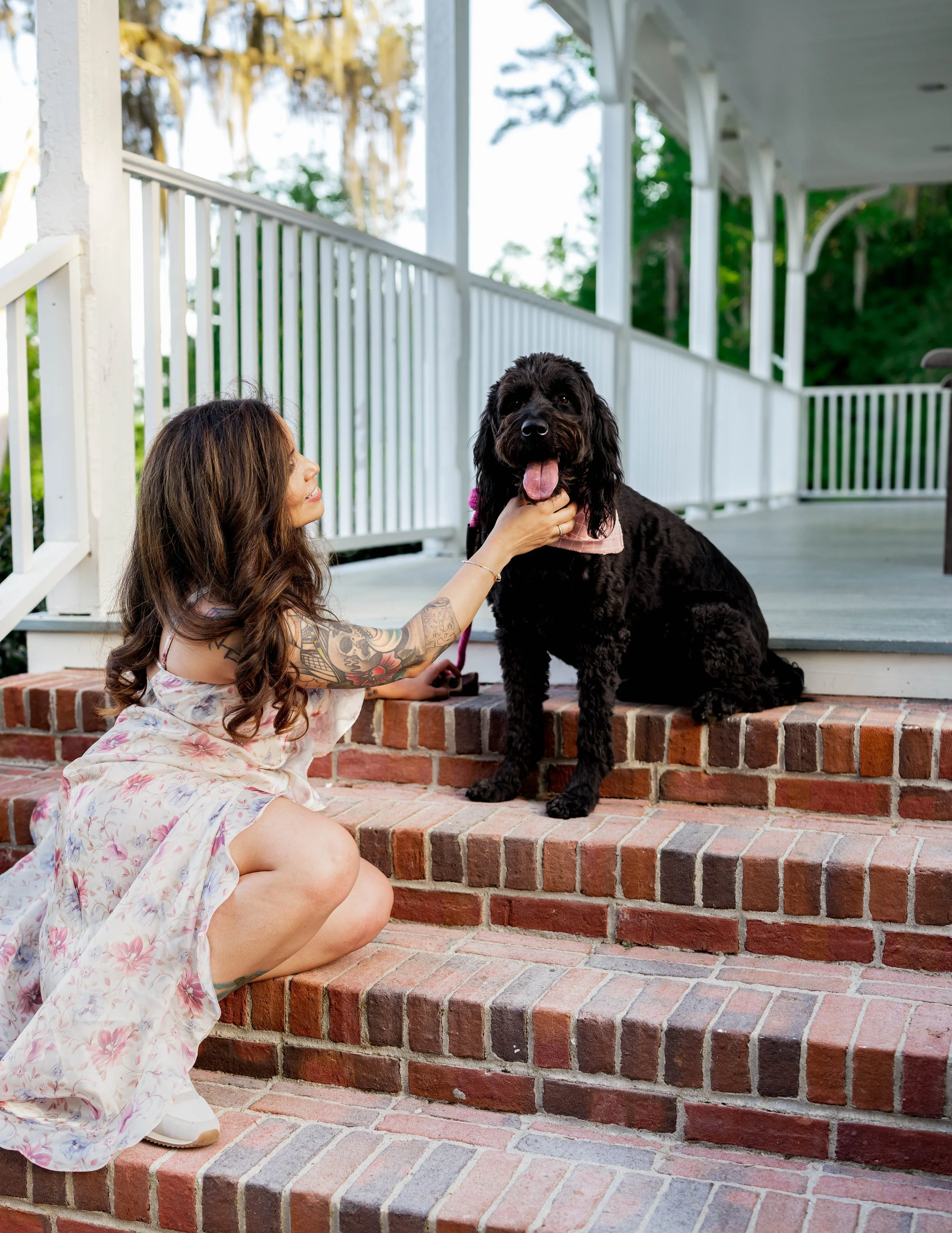 The Importance of Pet Photography