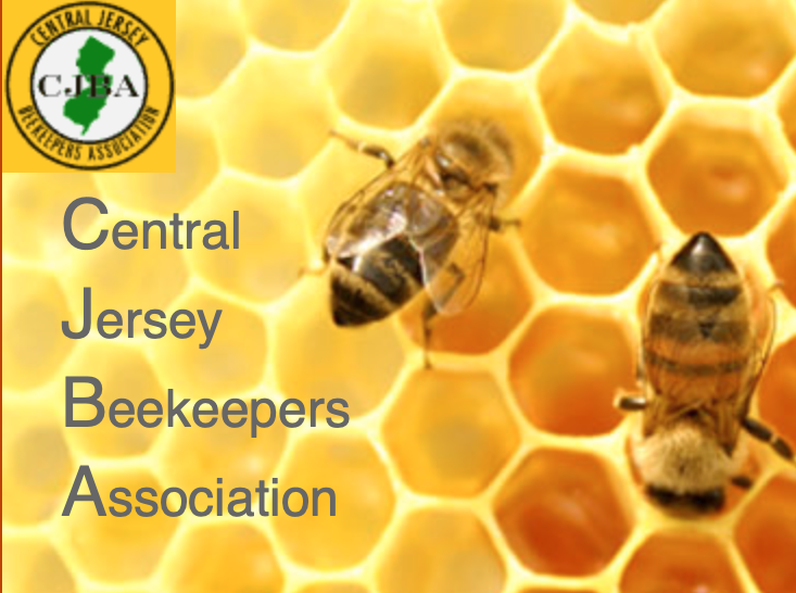 Beginner Beekeeping