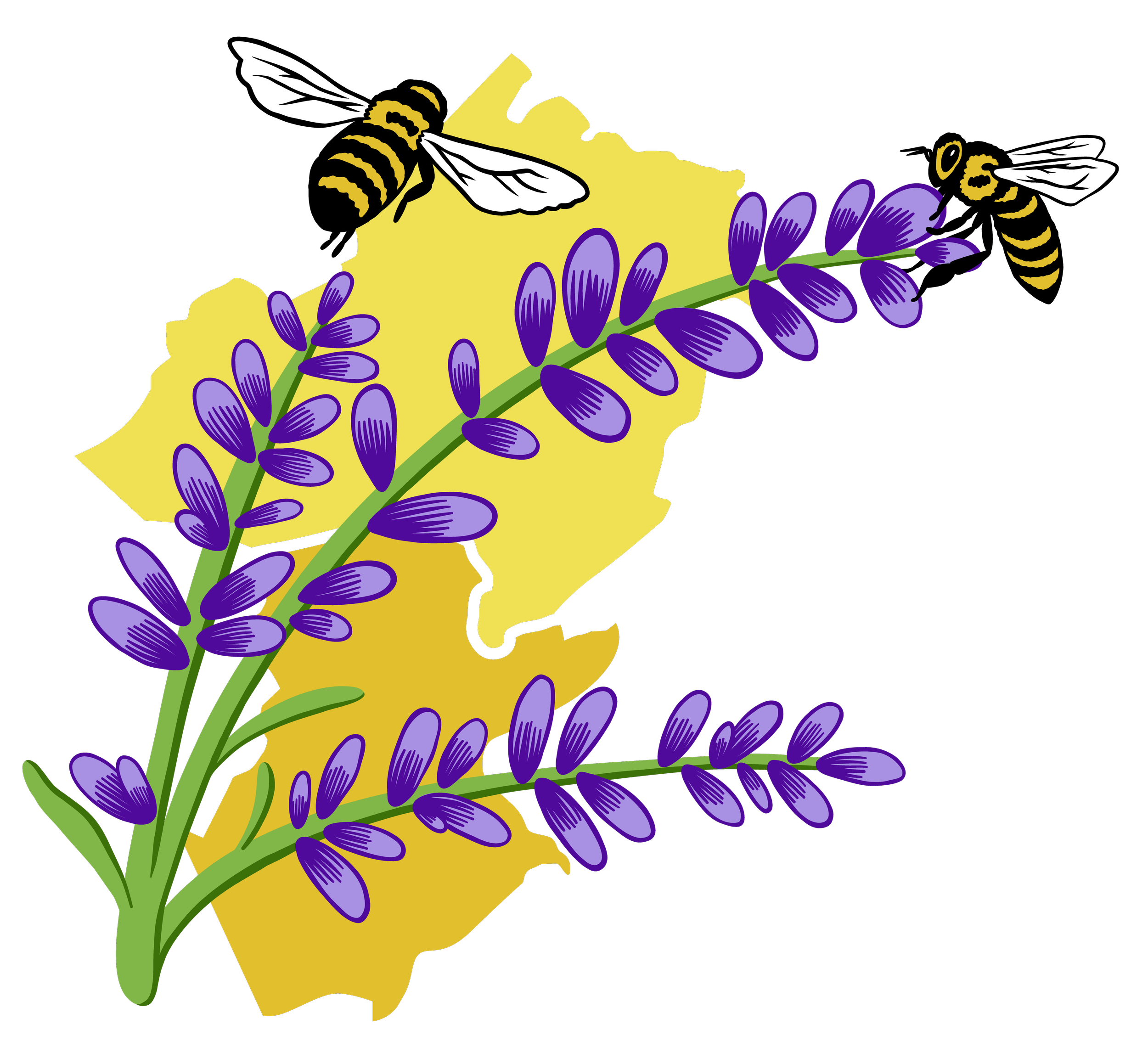 Morris Somerset Beekeepers Association