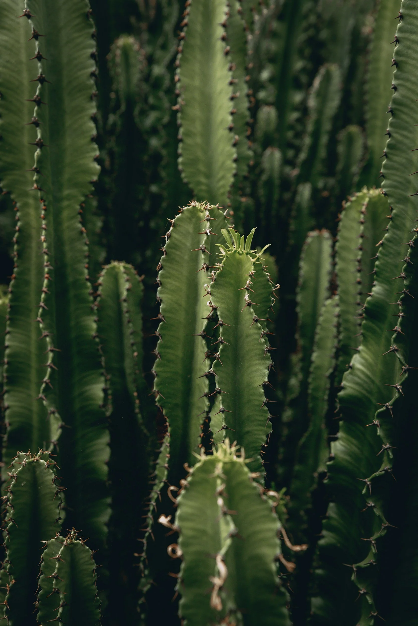unsplash-image-NX2BUMsqpYY.jpg