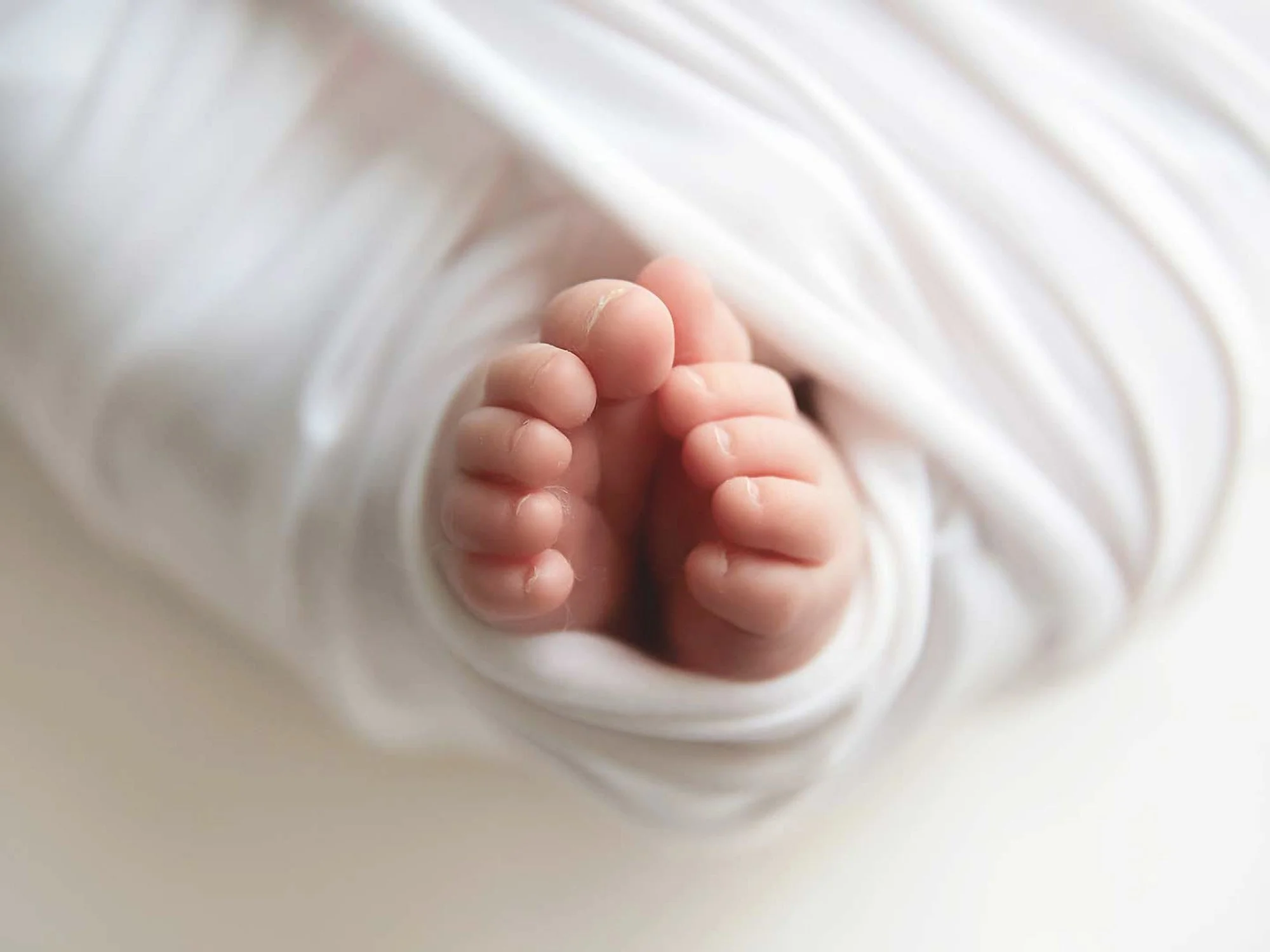 Close-up of a pair of tiny baby feet wrapped in white cloth.