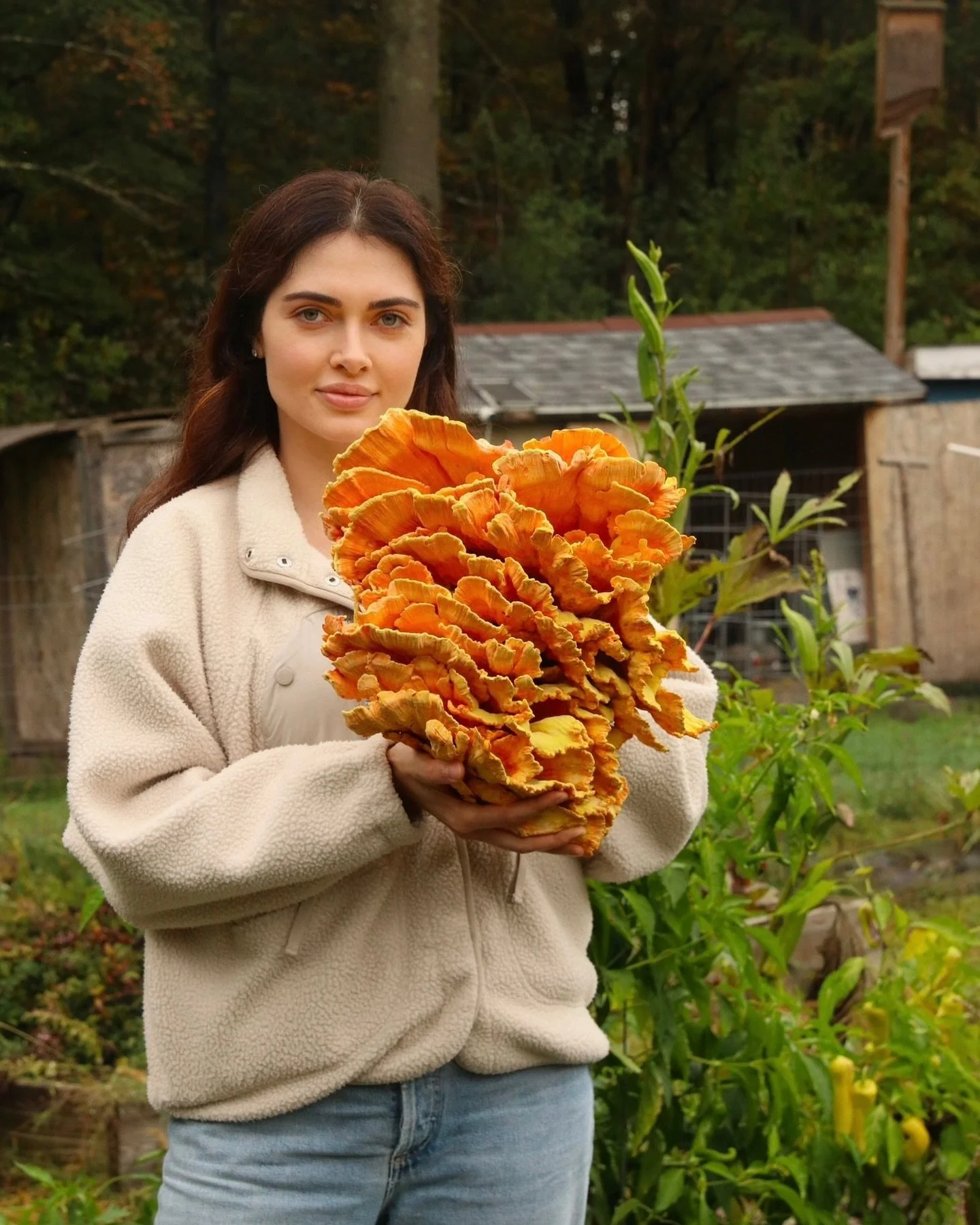 Isn&rsquo;t she absolutely iconic? If you&rsquo;re vegan or vegetarian and looking for Thanksgiving inspiration, here are some tips on foraging, cleaning, and cooking chicken of the woods and if you&rsquo;ve never tried it before it really does taste