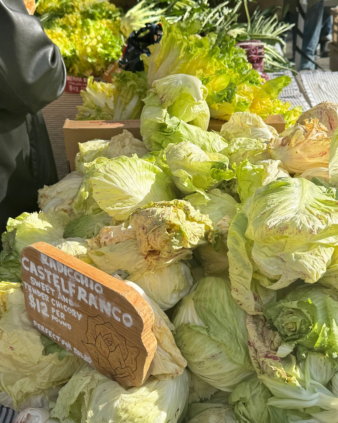 Any day spent at the farmers market is a great one! November morning stroll at @unsqgreenmarket 🌞