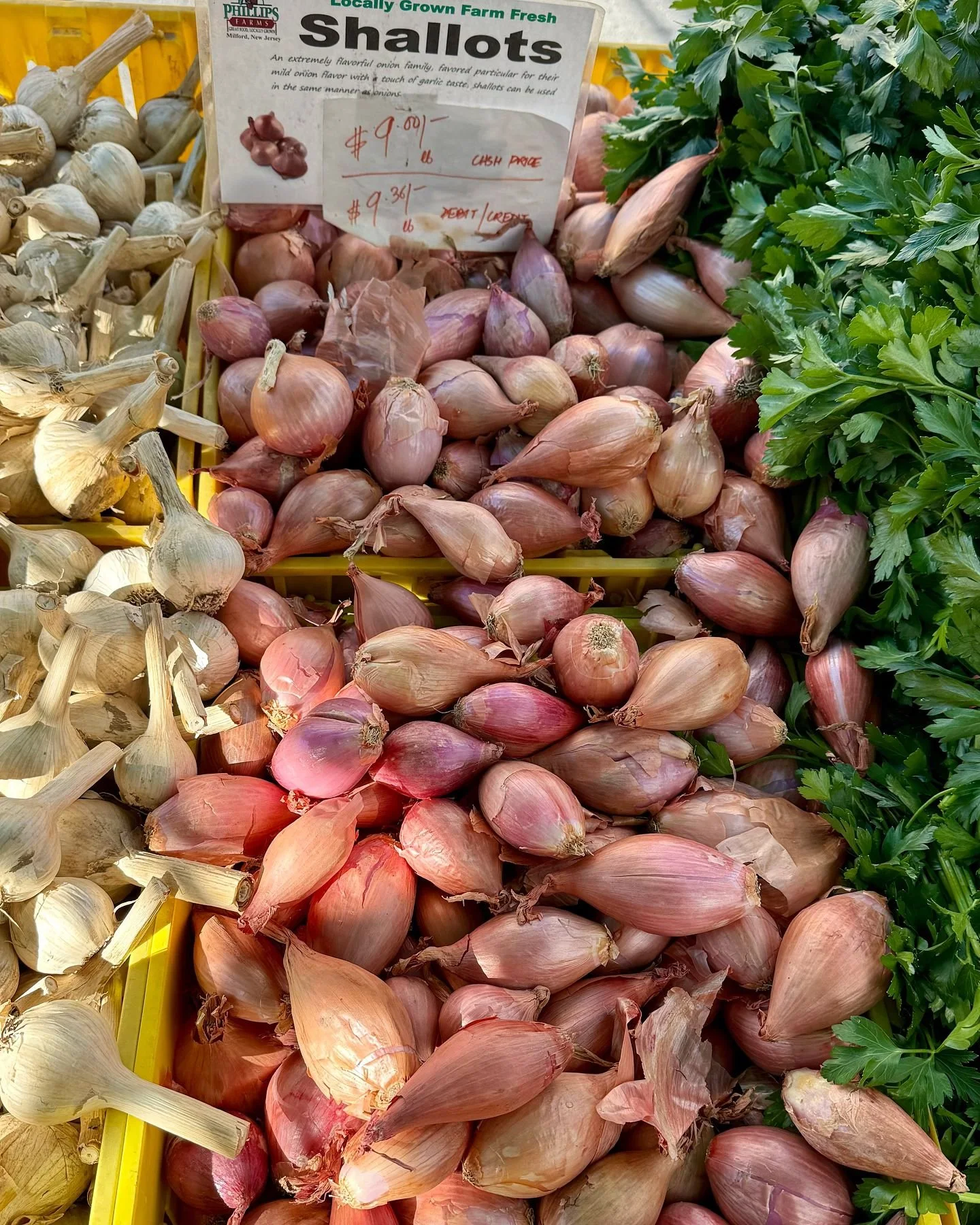 What a stunning day at the farmers market! I&rsquo;m so grateful to spend this beautiful Monday morning surrounded by passionate vendors and fellow lovers of seasonal produce. Thank you for the gift of nourishing our bodies with this incredible fall 