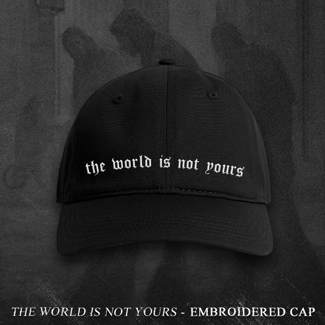 TWINY HAT - front.png