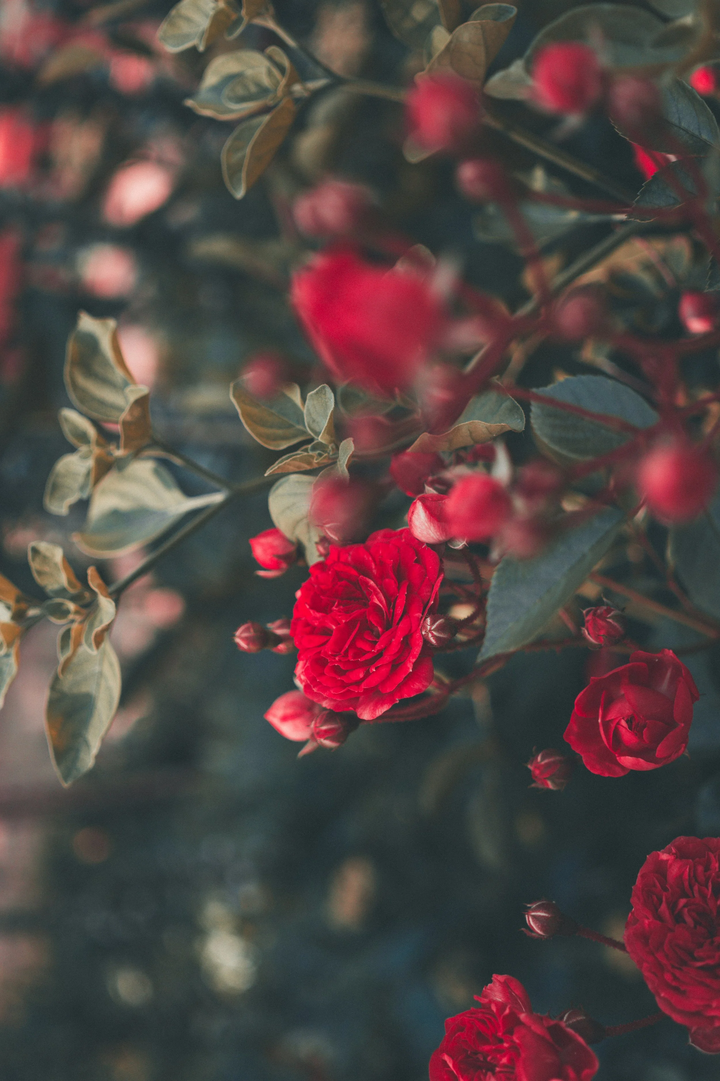 Is It Okay to Question What I Was Taught About Purity?